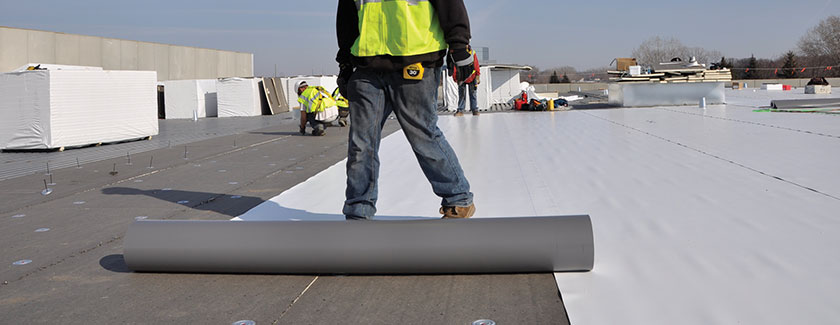 singleplymembrane